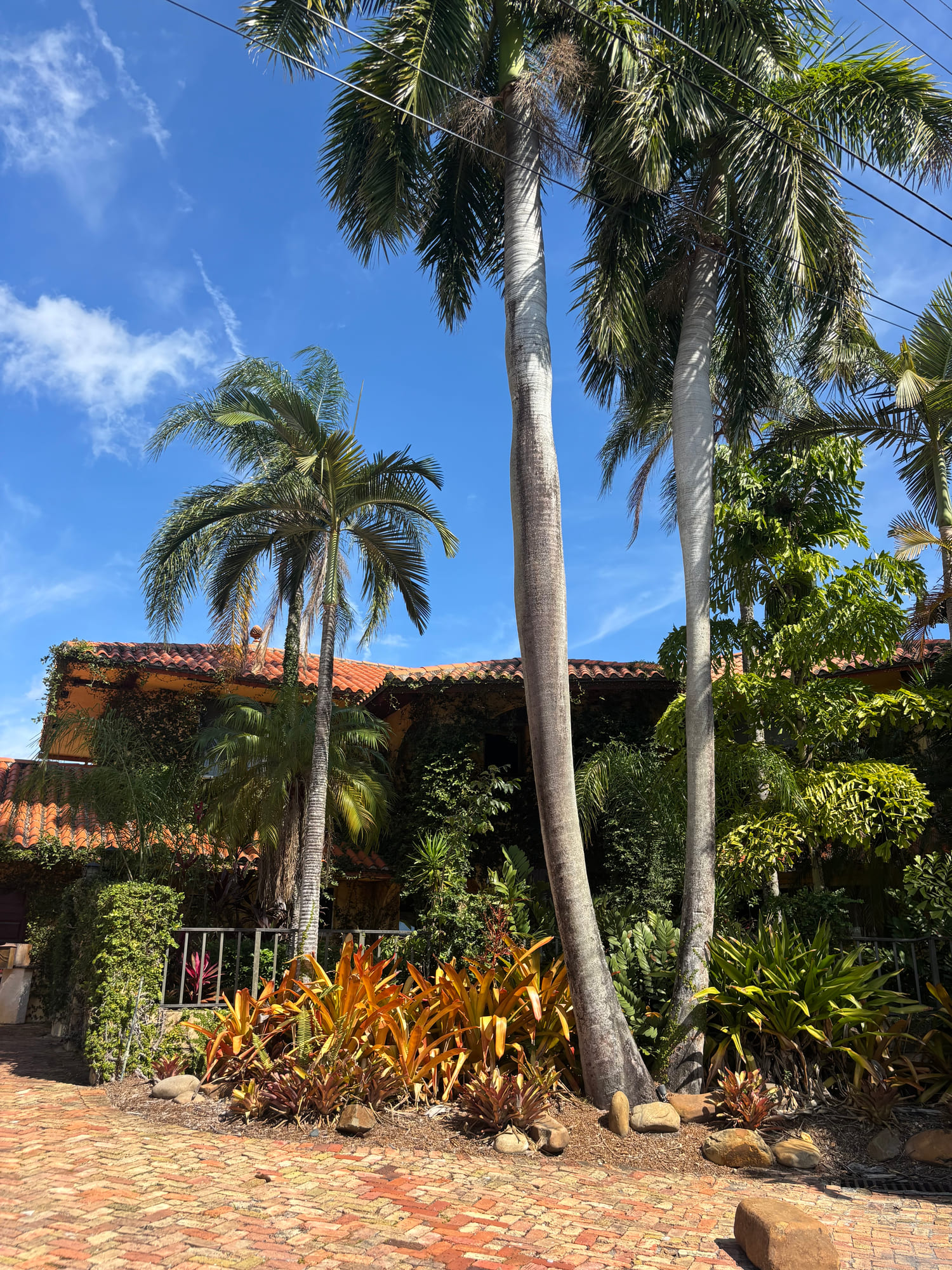 Palms and a tile-roof home along a South Florida waterway