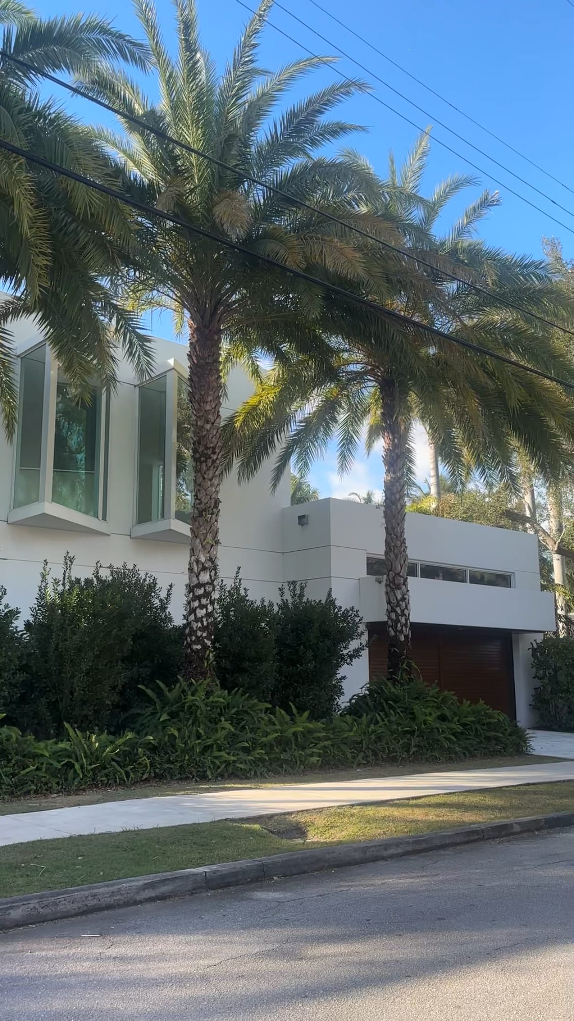 Modern white home behind mature palms on a Rio Vista street, Fort Lauderdale