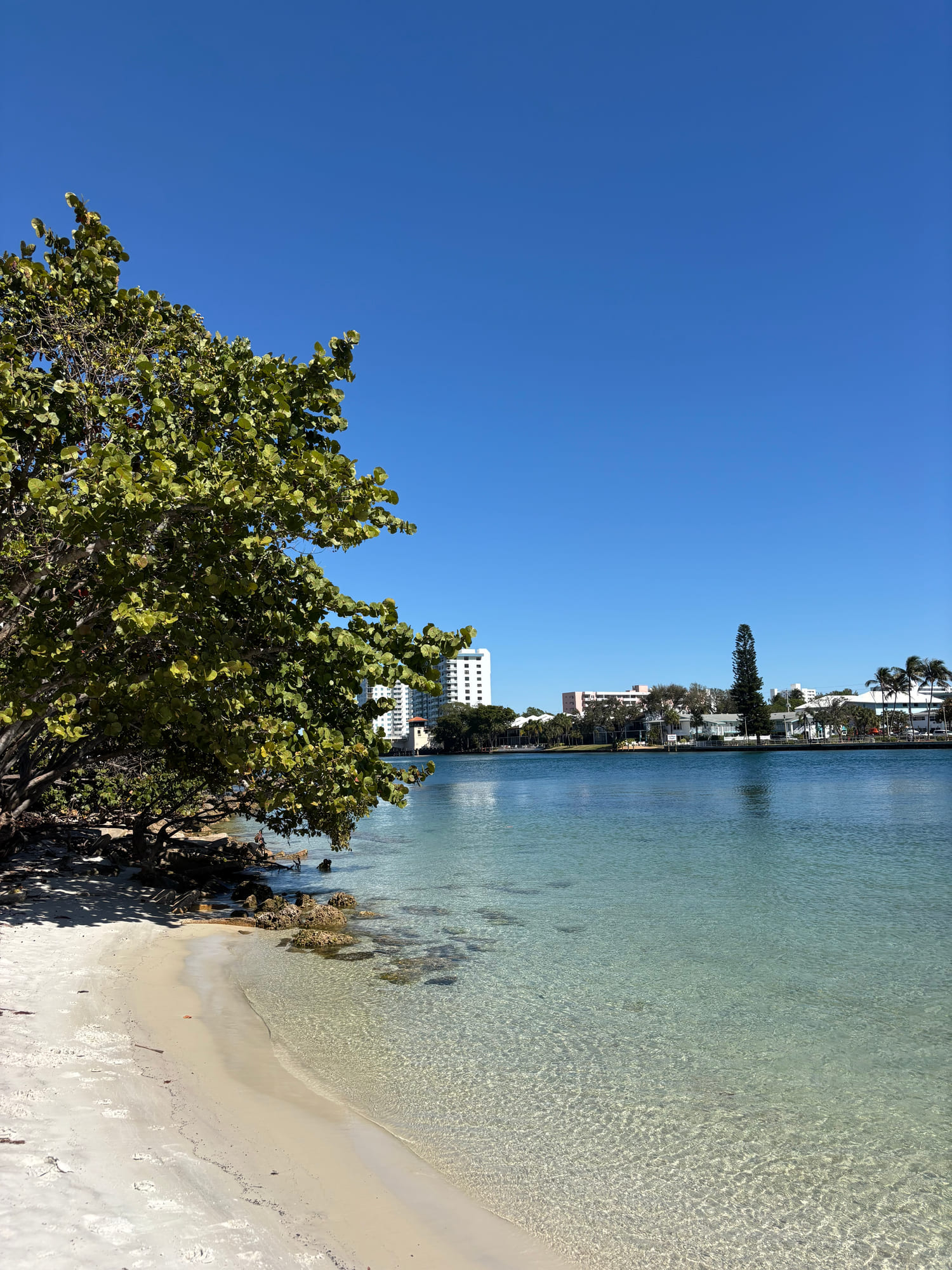 Clear shallow water and a sandy shoreline on the South Florida coast